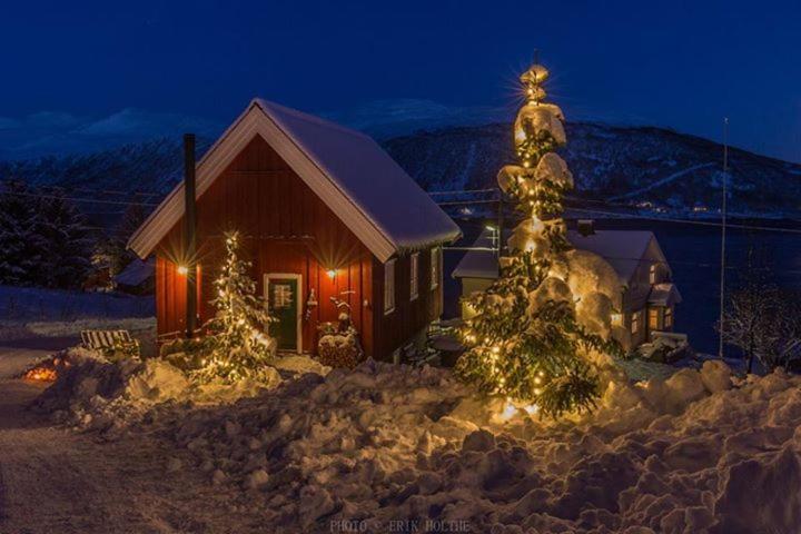 Kræmarvika Lodge Tromsø Eksteriør billede