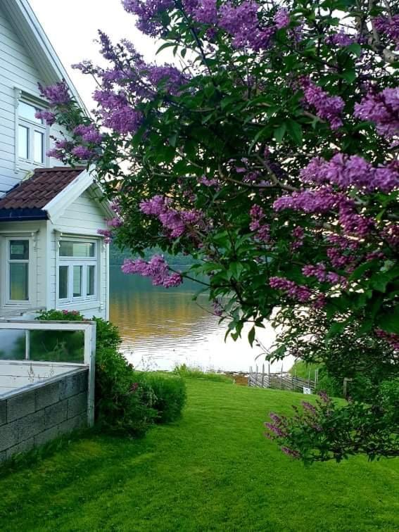 Kræmarvika Lodge Tromsø Eksteriør billede