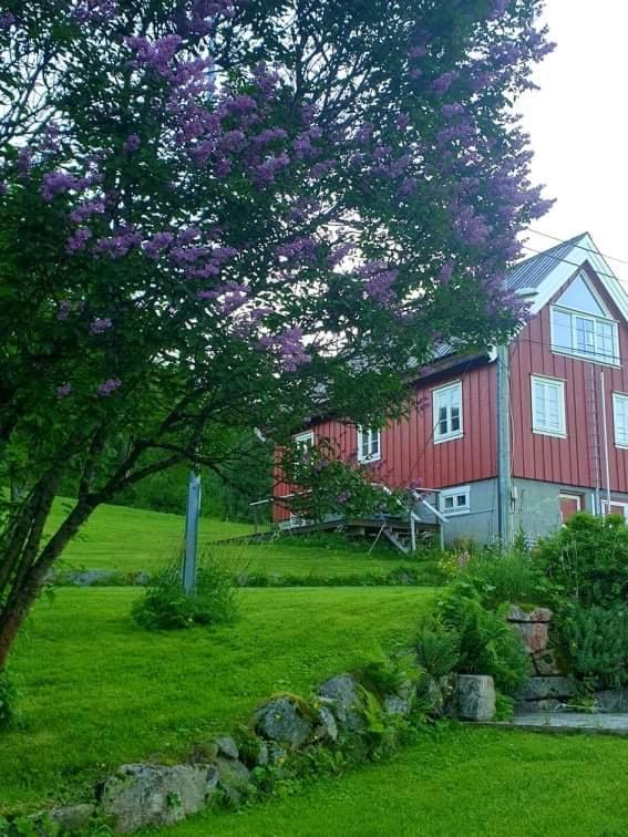 Kræmarvika Lodge Tromsø Eksteriør billede